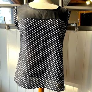 26. Cynthia Rowley Women’s Sleeveless Polka Dot Blouse, Size Medium